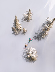 top view snowshoeing. two girls go on snowshoes among snow-covered trees in a mountain forest. active rest and travel