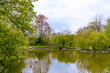 Weiher im Stadtpark Steglitz in Berlin. Die Bäume spiegeln sich im Wasser.