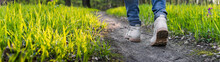 Hiking On Footpath In Forest. Panoramic View Of Hiker Legs Walking At Woodland. Rear View Of Hiking Boots