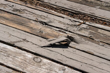 Wood Deck With Damaged Boards And Peeling Deck Paint; Power Washing, Refinishing, And Board Replacement Needed