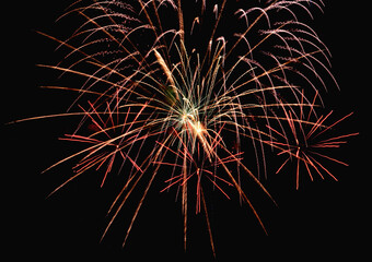 Poster - Bright festive fireworks against the night sky. Firework Fiery flowers during the holiday.