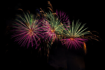 Wall Mural - Bright festive fireworks against the night sky. Firework Fiery flowers during the holiday.