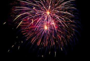 Canvas Print - Bright festive fireworks against the night sky. Firework Fiery flowers during the holiday.