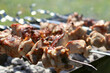 © Сергей Стельченко - Fresh shish kebab on skewers is fried on the grill. Grilled meat on skewers. Cooking.