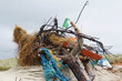 Strandgut Sekt Flasche  Nordsee strand Netz Holz Müll Plastik Maritim
