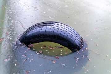 The tire is frozen in green water and there is leaves on the water too. There is a rubber with tread in view.