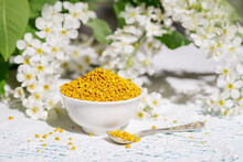 A Bowl Of Pollen That The Bees Brought To The Hive. Still Life In Rustic Style With A Branch And Flowers Of Bird Cherry And With A White Knitted Napkin. 