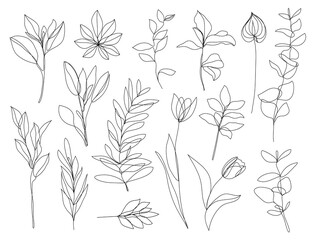 Canvas Print - Vector set of hand drawn, single continuous line flowers, leaves. Art floral elements. Use for t-shirt prints, logos, cosmetics and beauty design