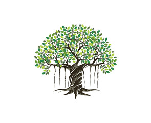 Sticker - banyan tree hand drawn design