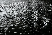 Stones Protruding From Silt On A Shallow River Bed, In Black And White