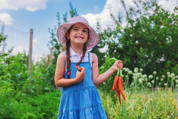 Wall Mural - Beautiful little child with carrots in garden. Girl farmer, horticulture.