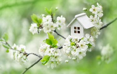 cherry flowers and toy house. spring natural background. concept of mortgage, construction, rental, family and property. 