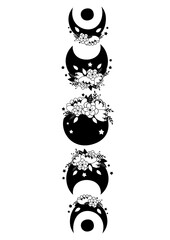 Wall Mural - set of isolated black floral moon phases