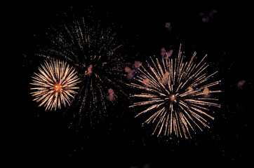 A Fireworks display at night