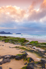 Wall Mural - Vertical landscape photo with wet stones