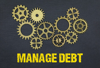 Canvas Print - Manage Debt