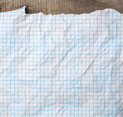 Wall Mural - crumpled white paper texture in a cage, blue lines, school notebook