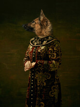 Model Like Medieval Royalty Person In Vintage Clothing Headed By Dog Head On Dark Vintage Background.