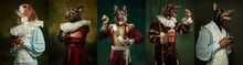 Models Like Medieval Royalty Persons In Vintage Clothing Headed By Dog's Heads On Dark Vintage Background.