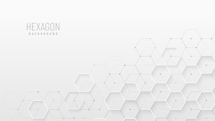 Wall Mural - abstract white grey background with hexagonal shape design. modern & futuristic concept. you can use