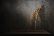 © Alexey Divnich/ADDICTIVE STOCK - Twigs of dried plants placed on wooden table near wall with sunlight in dark room
