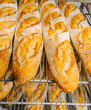 © Ioritz Lopez/ADDICTIVE STOCK - Rows of tasty oval shaped bread with golden surface and crunchy crust on metal rack shelves