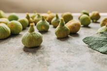 Ripe Sweet Green Figs, Freshly Harvested From Domestic Tree, On Table With Grunge Texture. Also Known As Ripe White Figs 