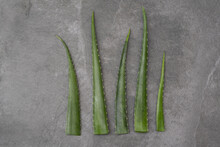 From Above Of Green Aloe Vera Leaves Placed In Row On Gray Table In Studio