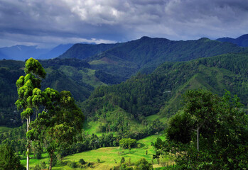 Wall Mural - Stormy clouds over Cordiliera Central, Salento, Colombia, South America