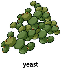 Wall Mural - yeast cartoon style with name