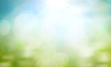Fototapeta Zachód słońca - World environment day concept: green grass and blue sky abstract background with bokeh