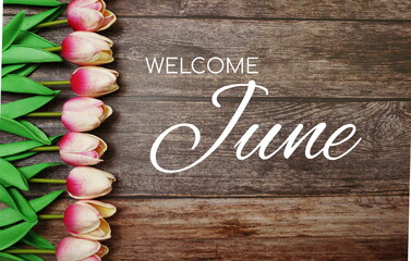 Wall Mural - welcome june text and tulip flower decoration on wooden background