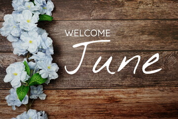 Wall Mural - welcome june text and blue flower decoration on wooden background