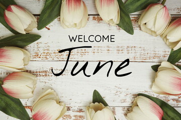 Wall Mural - welcome june text and tulip flower decoration on wooden background