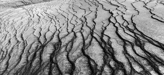 Wall Mural - Grand Prismatic Spring in Yellowstone National Park