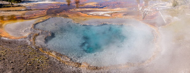 Wall Mural - Grand Prismatic Spring in Yellowstone National Park