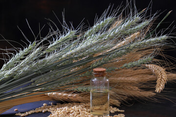 Wall Mural - Wheat ears, Wheat grain and wheat germ oil