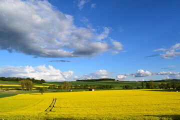 Wall Mural - schwere Wolken über der frühlingshaften Eifel