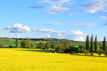 Wall Mural - schwere Wolken über der frühlingshaften Eifel