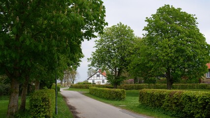 Wall Mural - Grünholz, Schleswig-Holstein