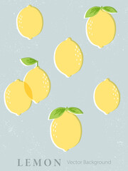 Hand drawn lemon illustration on distressed light gray background. Background design template with lemons for poster, web banner, flyer, cover, package, greeting card.