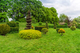 Fototapeta Na ścianę - Topiary art in park design. Trimmed trees and shrubs in a summer city park. Evergreen landscape park