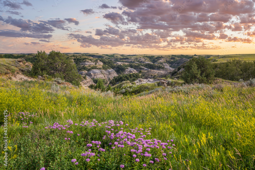 sunset-with-purple-wildflowers-near-the-oxbow-overlook-in-the-theodore