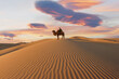 © saravut - Camel going through the sand dunes on sunrise, Gobi desert Mongolia