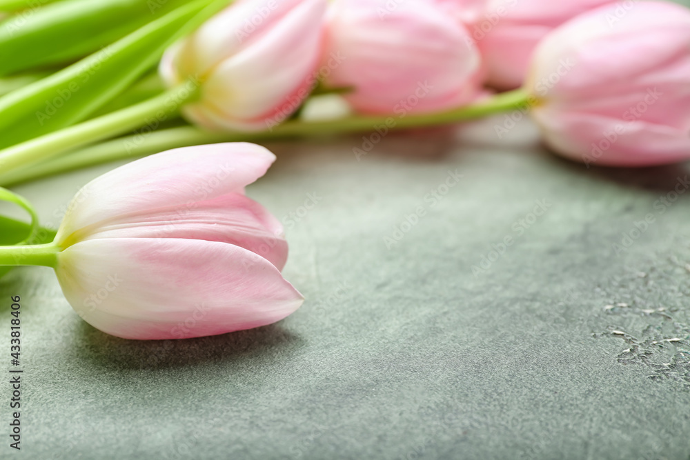 Beautiful tulip flowers on color background