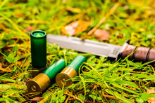 12 Gauge Bullets And Combat Knife On The Grass With Fallen Leaves. Close Up View Of A Grass Level, Focus On The Cartridges