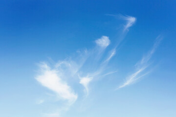 Wall Mural - blue sky with clouds many beautiful white