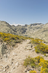 Sticker - Vertical shot of a path leads to the mountain against a blue sky background Gredos, Spain