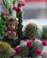 Sticker - Selective focus of beautiful cactus plants and a girl figure with text on it