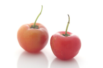 cherries on a white background